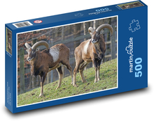 Muflon - ruminant, animal Puzzle of 500 pieces - 46 x 30 cm