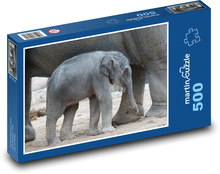 Asian elephant - baby, mammal Puzzle of 500 pieces - 46 x 30 cm