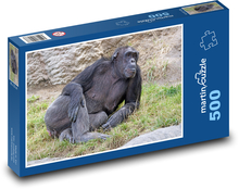 Šimpanz - savec, zvíře Puzzle 500 dílků - 46 x 30 cm