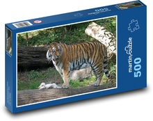 Tygrys - drapieżnik, duży kot Puzzle 500 elementów - 46x30 cm