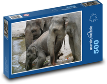 Slon - mládě, rodina Puzzle 500 dílků - 46 x 30 cm