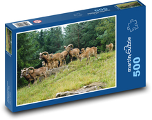 Mufflon - eine Herde von Huftieren Puzzle 500 Teile - 46 x 30 cm