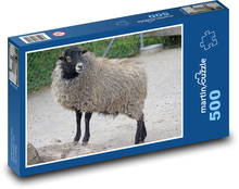Owca Ouessant - owca karłowata Puzzle 500 elementów - 46x30 cm