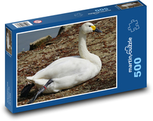 Labuť - vodný vták, zviera Puzzle 500 dielikov - 46 x 30 cm 