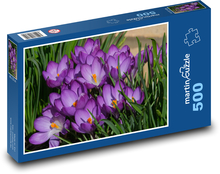 Krokus - květina, jaro Puzzle 500 dílků - 46 x 30 cm