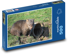 Wombat - zvíře, zoo Puzzle 500 - 46x30 cm