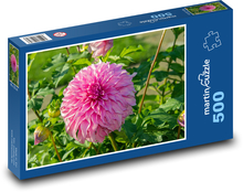Jiřina - růžový květ, květina Puzzle 500 - 46x30 cm