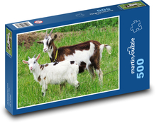 Koza - koza, jagnięcina Puzzle 500 elementów - 46x30 cm