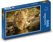 Animal, Cheetah Puzzle of 500 pieces - 46 x 30 cm 