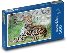 Levhart - šelma, kočka Puzzle 500 dílků - 46 x 30 cm