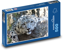 Leopard - velká kočka, šelma Puzzle 500 dílků - 46 x 30 cm