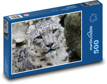 Leopard - divoká šelma, zvíře Puzzle 500 dílků - 46 x 30 cm