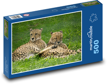 Gepard - divoká kočka, zvíře Puzzle 500 dílků - 46 x 30 cm