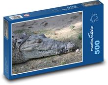 Krokodýl - zvíře, plaz Puzzle 500 dílků - 46 x 30 cm