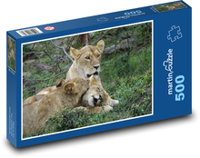 Levy v Safaris, Keňa Puzzle 500 dielikov - 46 x 30 cm 