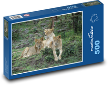 Lioness - lion, cat Puzzle of 500 pieces - 46 x 30 cm 