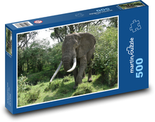 Slon - zvíře, příroda Puzzle 500 dílků - 46 x 30 cm