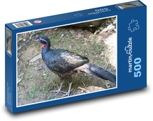 Guan - vták, zviera Puzzle 500 dielikov - 46 x 30 cm 