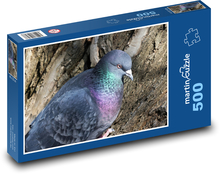 Pigeon - bird, ornithology Puzzle of 500 pieces - 46 x 30 cm 