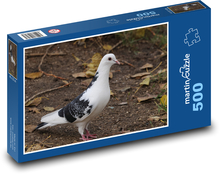 Holub - ptactvo, zvířata Puzzle 500 dílků - 46 x 30 cm