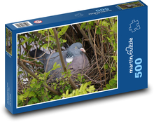 Holubice - pták, peří Puzzle 500 dílků - 46 x 30 cm