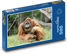 Vysmiaty orangutan - opice, zoo Puzzle 500 dielikov - 46 x 30 cm 