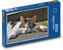 Unavená kočka - domácí mazlíček Puzzle 500 - 46x30 cm