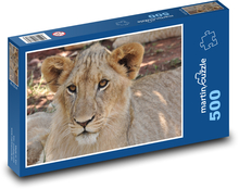 Lwica - dziki kot, ssak Puzzle 500 elementów - 46x30 cm