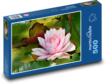 Rosa Seerose - Wasserpflanze, Blume Puzzle 500 Teile - 46 x 30 cm