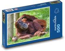 Orangutan - sleeping monkey, animal Puzzle of 500 pieces - 46 x 30 cm 