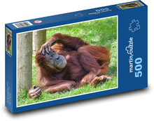 Orangutan - spiace opice, zviera Puzzle 500 dielikov - 46 x 30 cm 