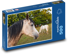 Horse in the field - pasture, animal Puzzle of 500 pieces - 46 x 30 cm 