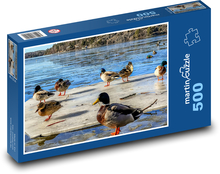 Kačice, jazero, ľad Puzzle 500 dielikov - 46 x 30 cm 