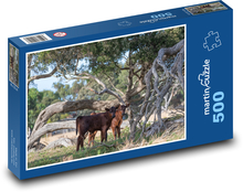 Bydło - krowa, cielę Puzzle 500 elementów - 46x30 cm