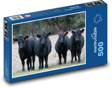 Kravy - Čierny Angus Puzzle 500 dielikov - 46 x 30 cm 