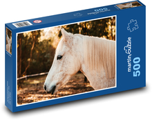 Australský pony - kůň, hříva Puzzle 500 dílků - 46 x 30 cm
