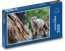 Surykatka - zwierzę, Afryka Puzzle 500 elementów - 46x30 cm