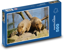 Nosal - animals, mammal Puzzle of 500 pieces - 46 x 30 cm 