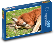 Kangaroo - marsupial, Australia Puzzle of 500 pieces - 46 x 30 cm 