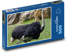 Ostrich - bird, animal Puzzle of 500 pieces - 46 x 30 cm 