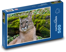 Puma - predator, zoo Puzzle of 500 pieces - 46 x 30 cm 