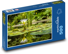 Bílý leknín - odraz ve vodě, rybník Puzzle 500 - 46x30 cm