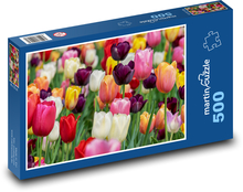 Tulipány - květiny, zahrada Puzzle 500 dílků - 46 x 30 cm