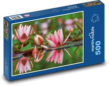 Lekno - kvet, rybník Puzzle 500 dielikov - 46 x 30 cm 