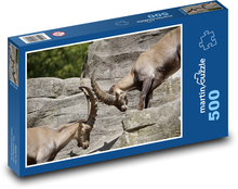 Kozorožec - rohy, zvířata Puzzle 500 dílků - 46 x 30 cm