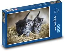 Kittens - cats, animals Puzzle of 500 pieces - 46 x 30 cm