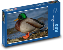 Kačer - břeh jezera, vodní zvíře Puzzle 500 dílků - 46 x 30 cm