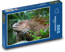 Leguán - plaz, Kostarika Puzzle 500 dílků - 46 x 30 cm