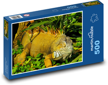 Iguana - reptile, animal Puzzle of 500 pieces - 46 x 30 cm 