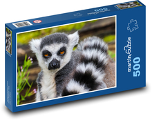 Lemur - małpa, zoo Puzzle 500 elementów - 46x30 cm